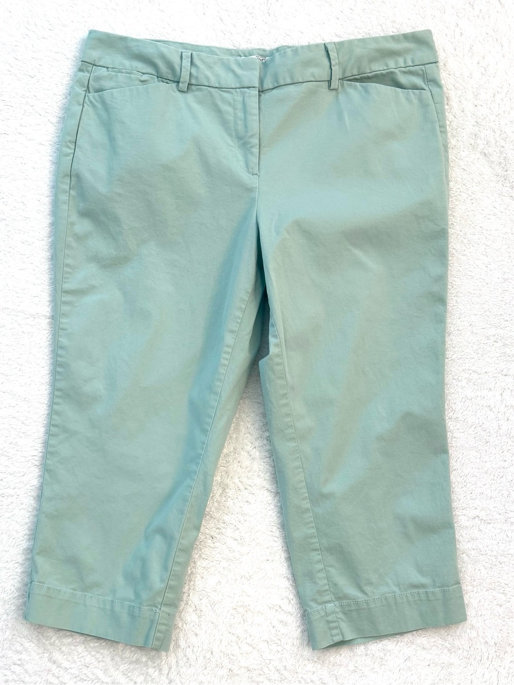 Ann Taylor LOFT size 12 Petite mint green flat front cropped capri pants